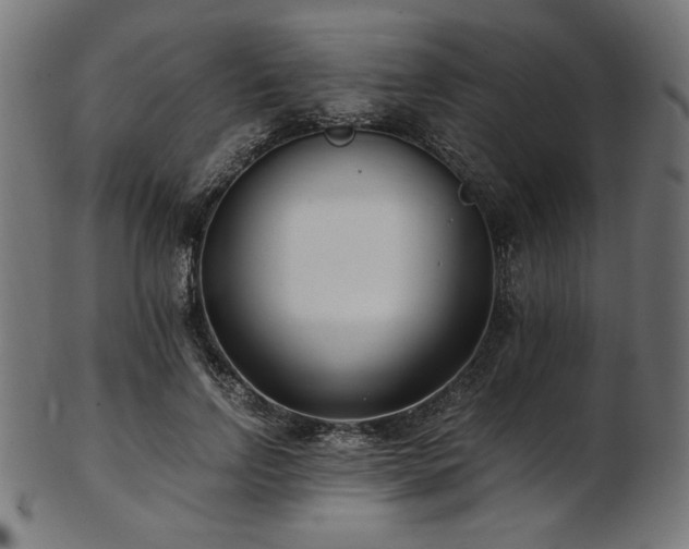 X0000103480742200809121649