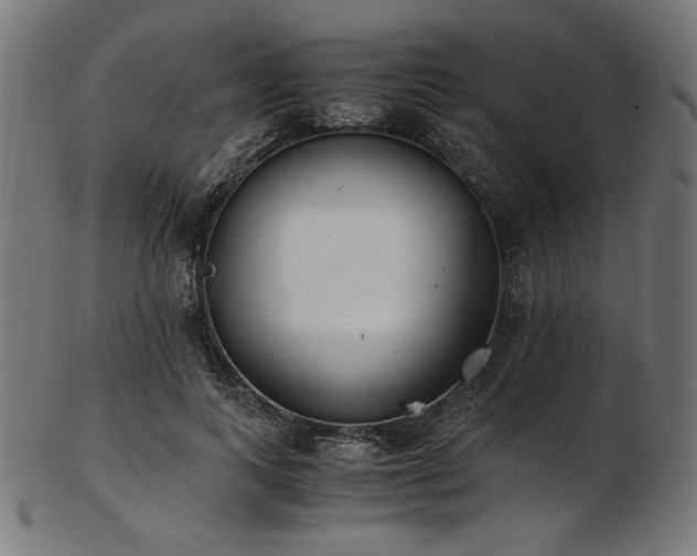 X0000103480743200809121649