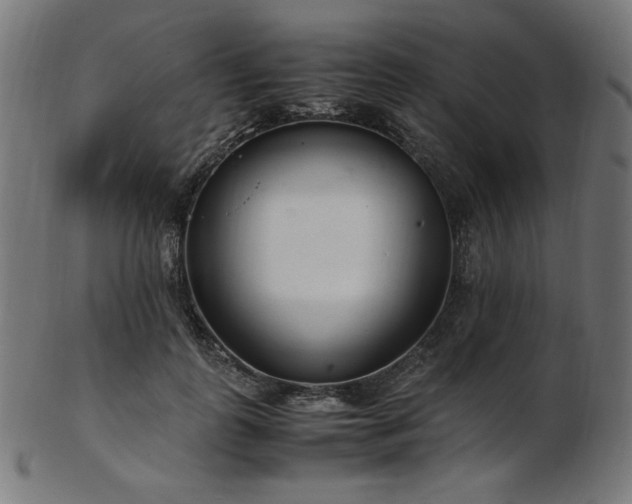 X0000103480747200809121650