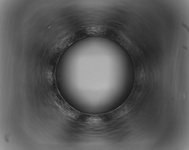 X0000103480749200809121650