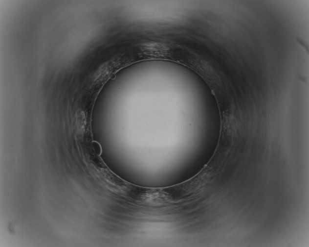 X0000103480752200809121650