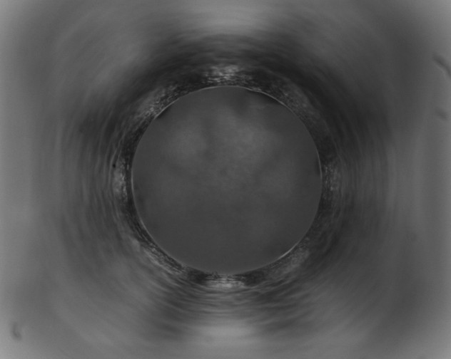 X0000103480754200809121650