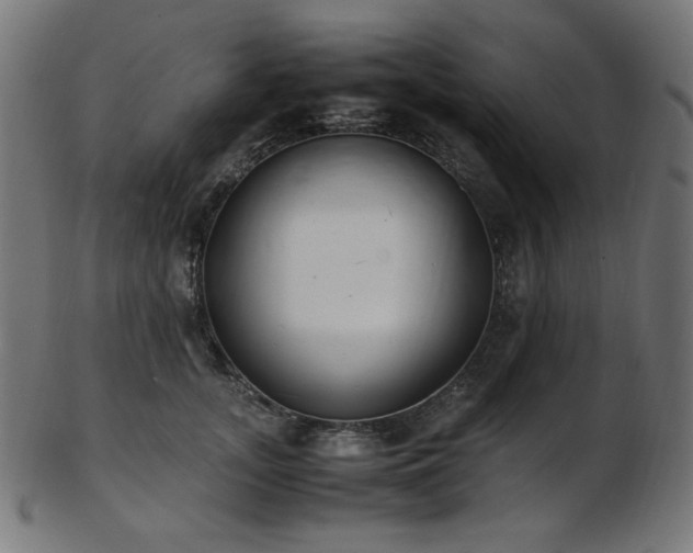 X0000103480755200809121650