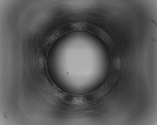X0000103480757200809121650