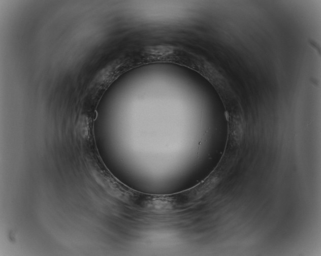 X0000103480758200809121650