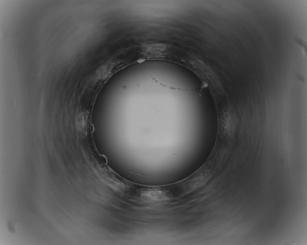 X0000103480759200809121650