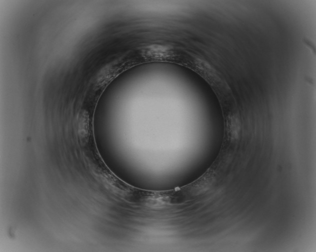 X0000103480760200809121650