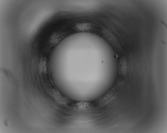 X0000103480762200809121650