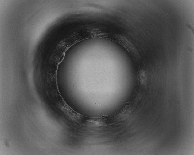 X0000103480763200809121650