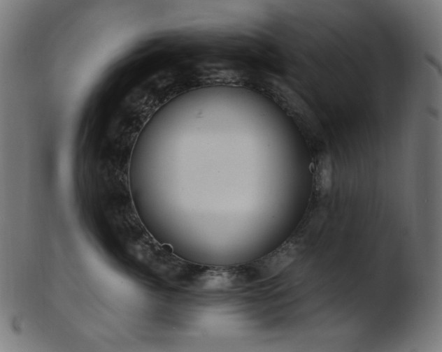 X0000103480764200809121650