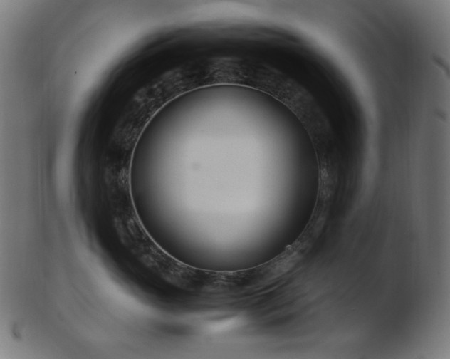 X0000103480765200809121650