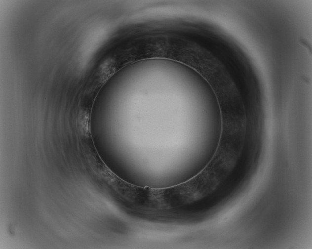 X0000103480766200809121650