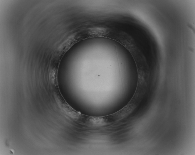X0000103480767200809121650