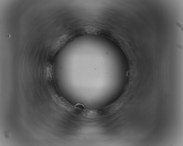 X0000103480768200809121650