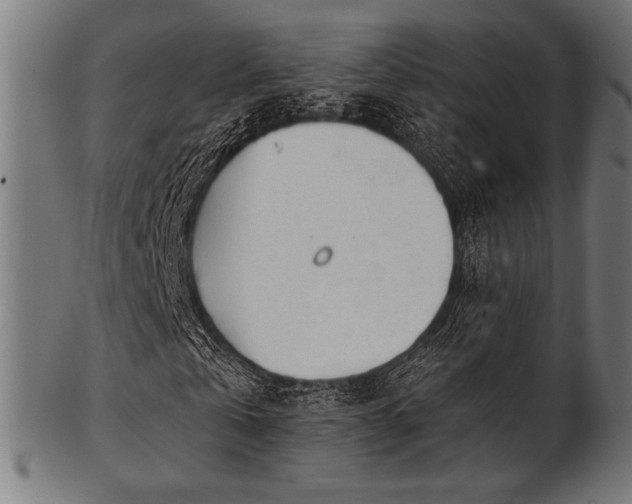 X0000103480769200809121649