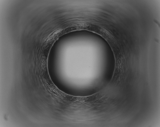 X0000103480773200809121649