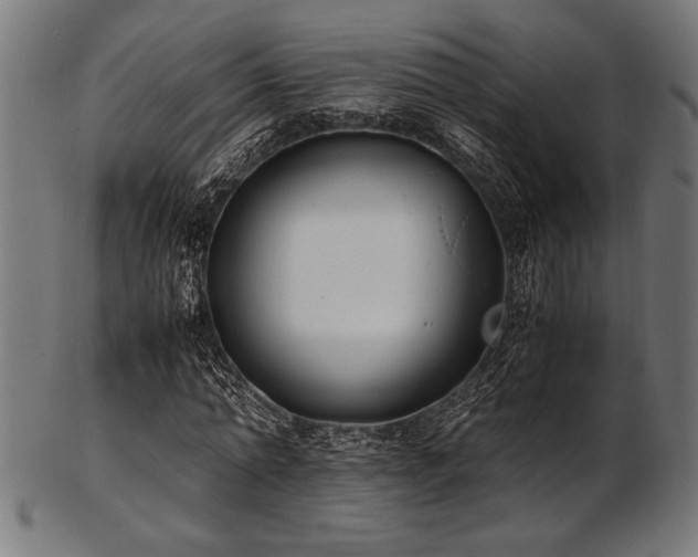 X0000103480774200809121649