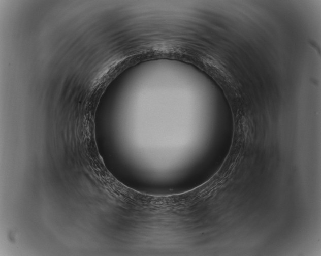 X0000103480776200809121649