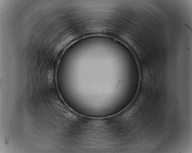 X0000103480778200809121649