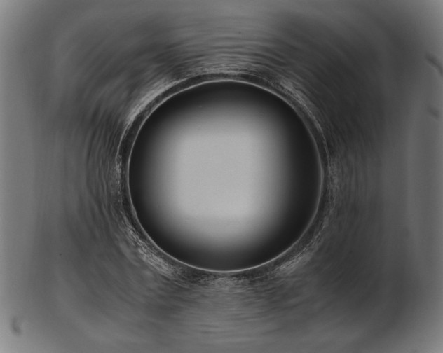 X0000103480779200809121649