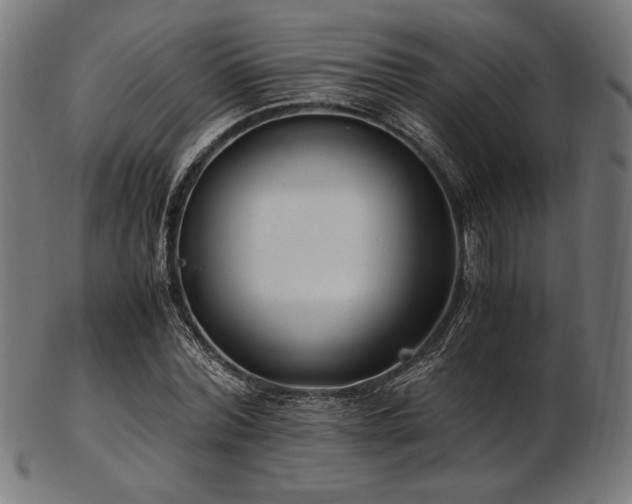 X0000103480780200809121649
