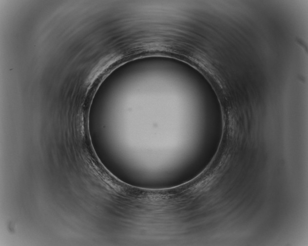X0000103480782200809121649