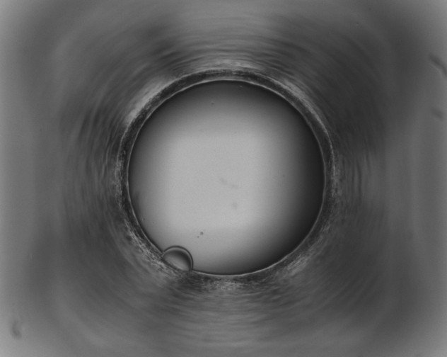 X0000103480783200809121649