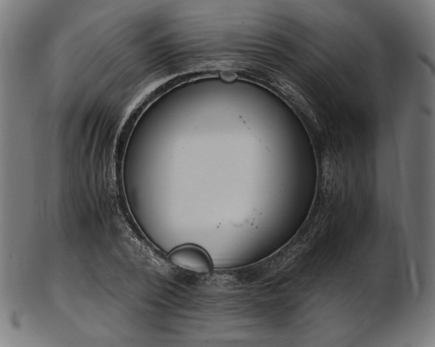 X0000103480784200809121649