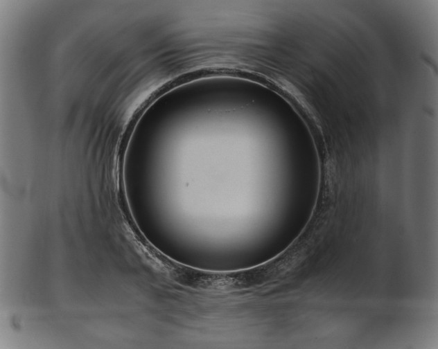 X0000103480791200809121649