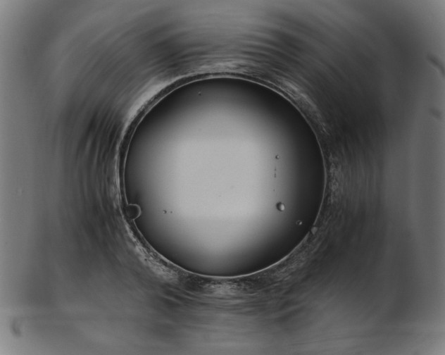 X0000103480792200809121649