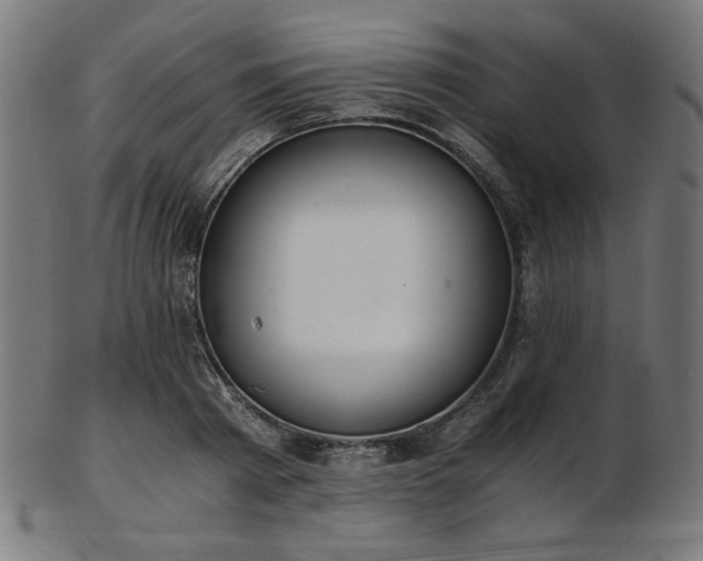 X0000103480793200809121649