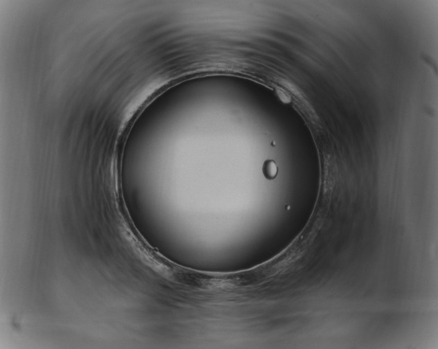 X0000103480796200809121649
