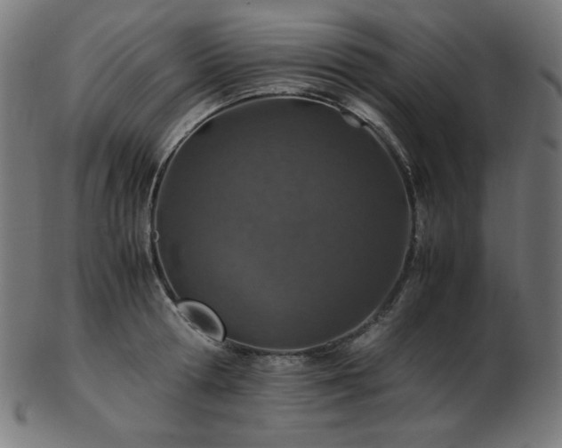 X0000103480802200809121649