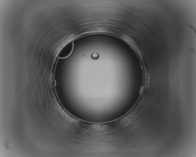 X0000103480805200809121649
