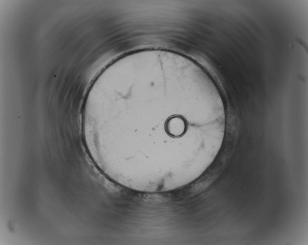 X0000103480807200809121649