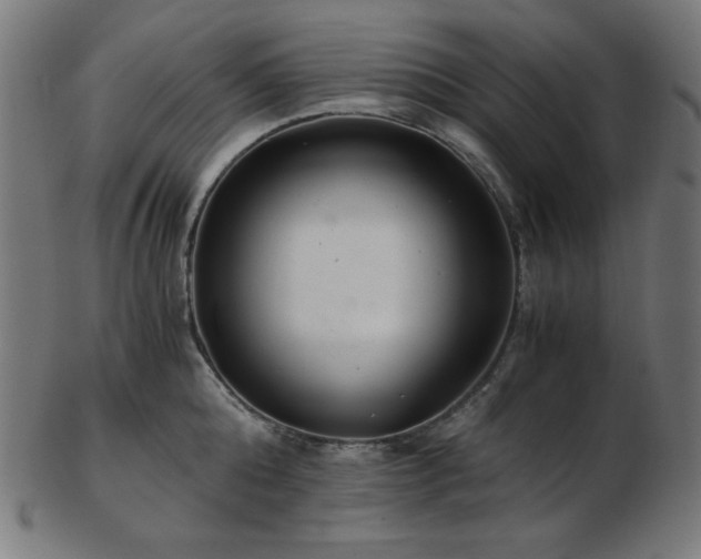 X0000103480808200809121649