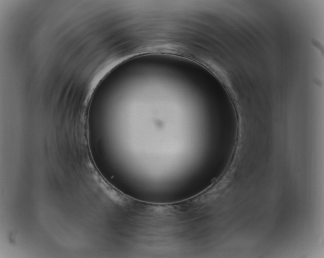 X0000103480816200809121648