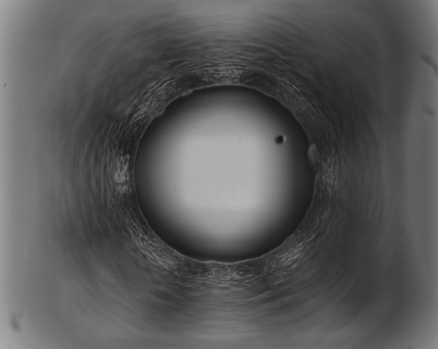 X0000103480818200809121648