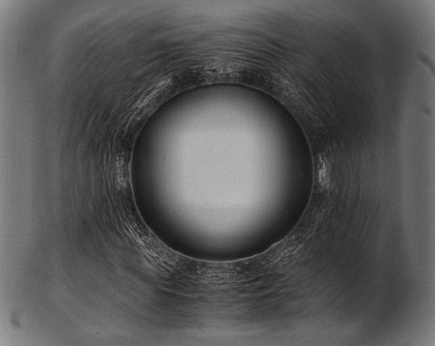 X0000103480819200809121648