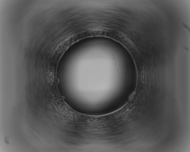 X0000103480821200809121648