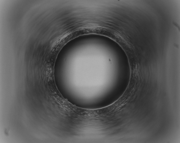 X0000103480822200809121648