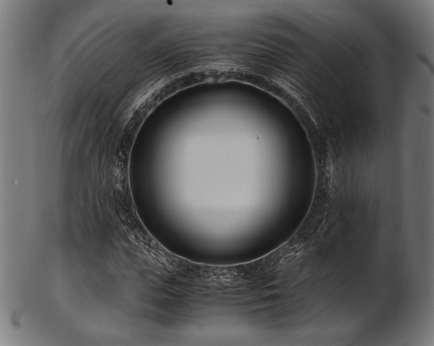 X0000103480823200809121648
