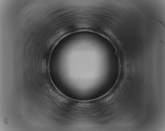 X0000103480825200809121648