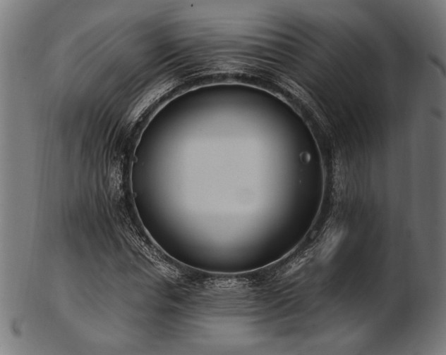 X0000103480826200809121648