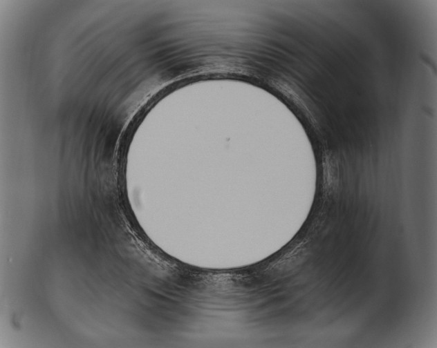 X0000103480828200809121648