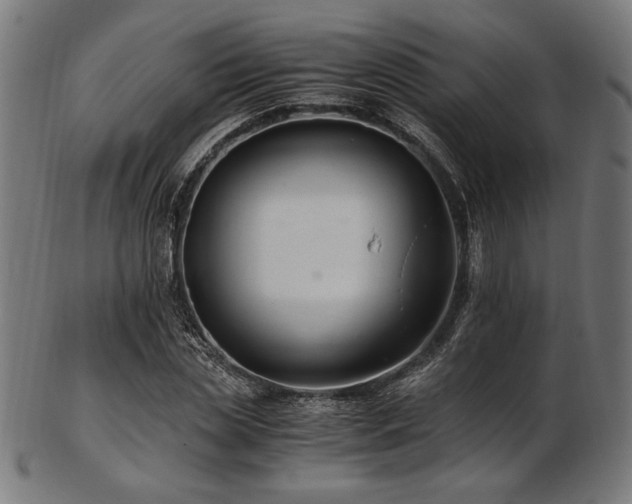 X0000103480829200809121648