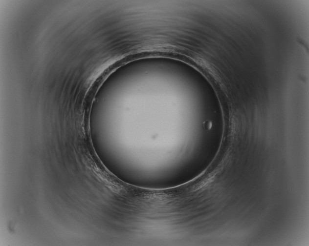X0000103480830200809121648