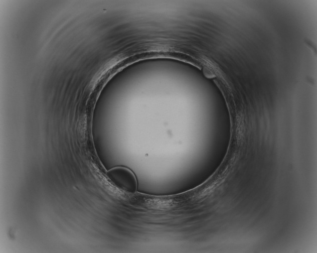 X0000103480831200809121648