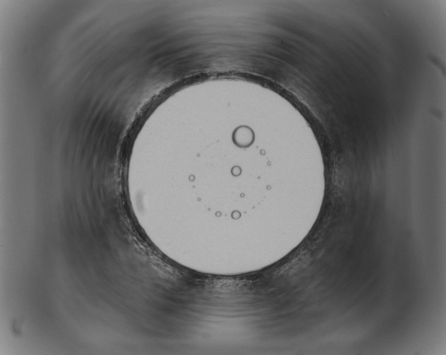 X0000103480832200809121648
