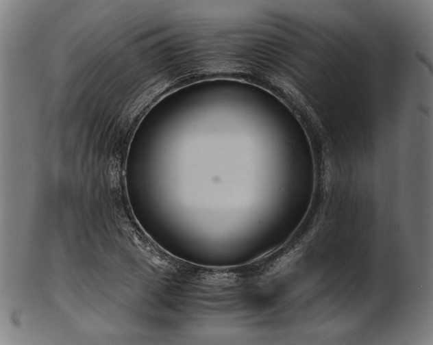 X0000103480833200809121648